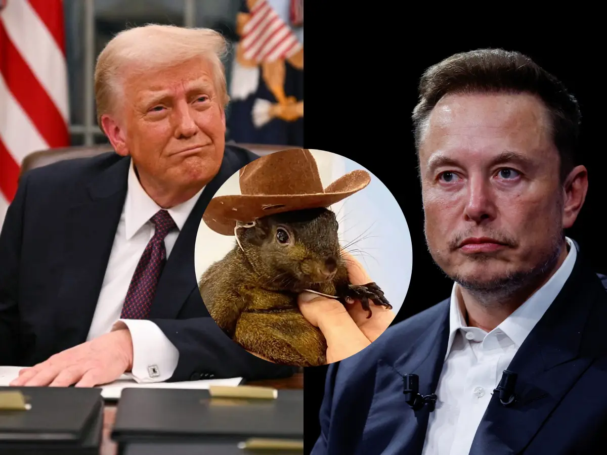 Musk goes nuts over Epstein files, slams Trump: 'They killed Peanut...Government is deeply broken' Musk goes nuts over Epstein files, slams Trump: 'They killed Peanut...Government is deeply broken'
