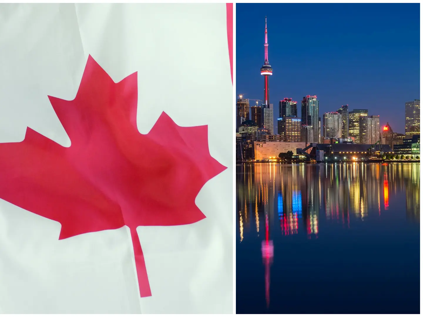 10,000 Ontario college layoffs, 600 programmes scrapped: Canada education is hurting, and there may be an India connection 10,000 Ontario college layoffs, 600 programmes scrapped: Canada education is hurting, and there may be an India connection
