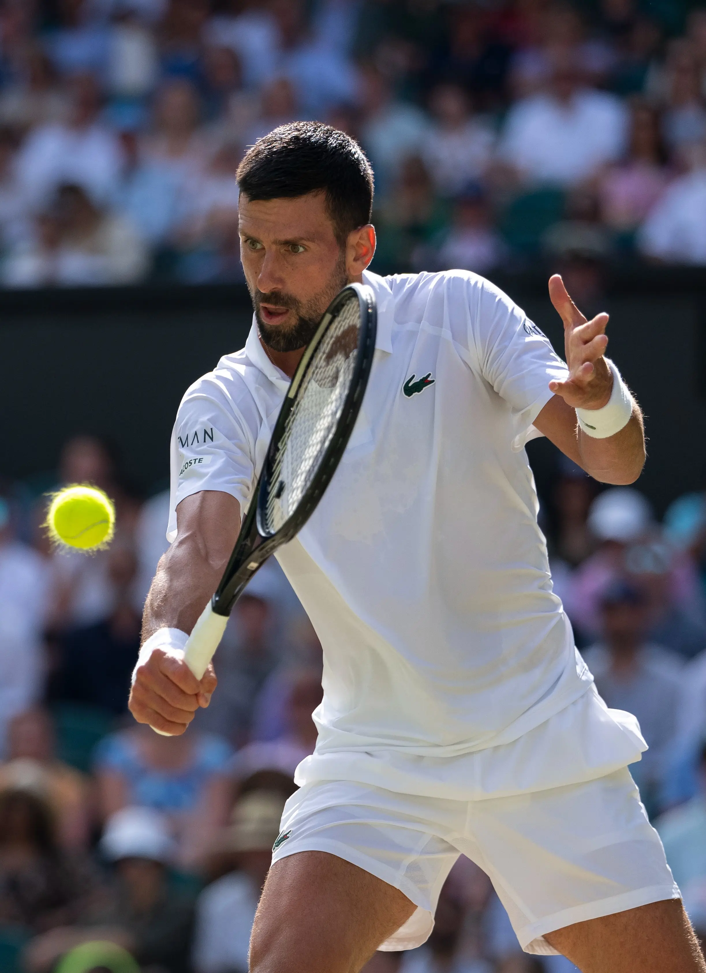 HIGHLIGHTS | Wimbledon 2025: Djokovic beats Cobolli, sets up semis clash with Sinner