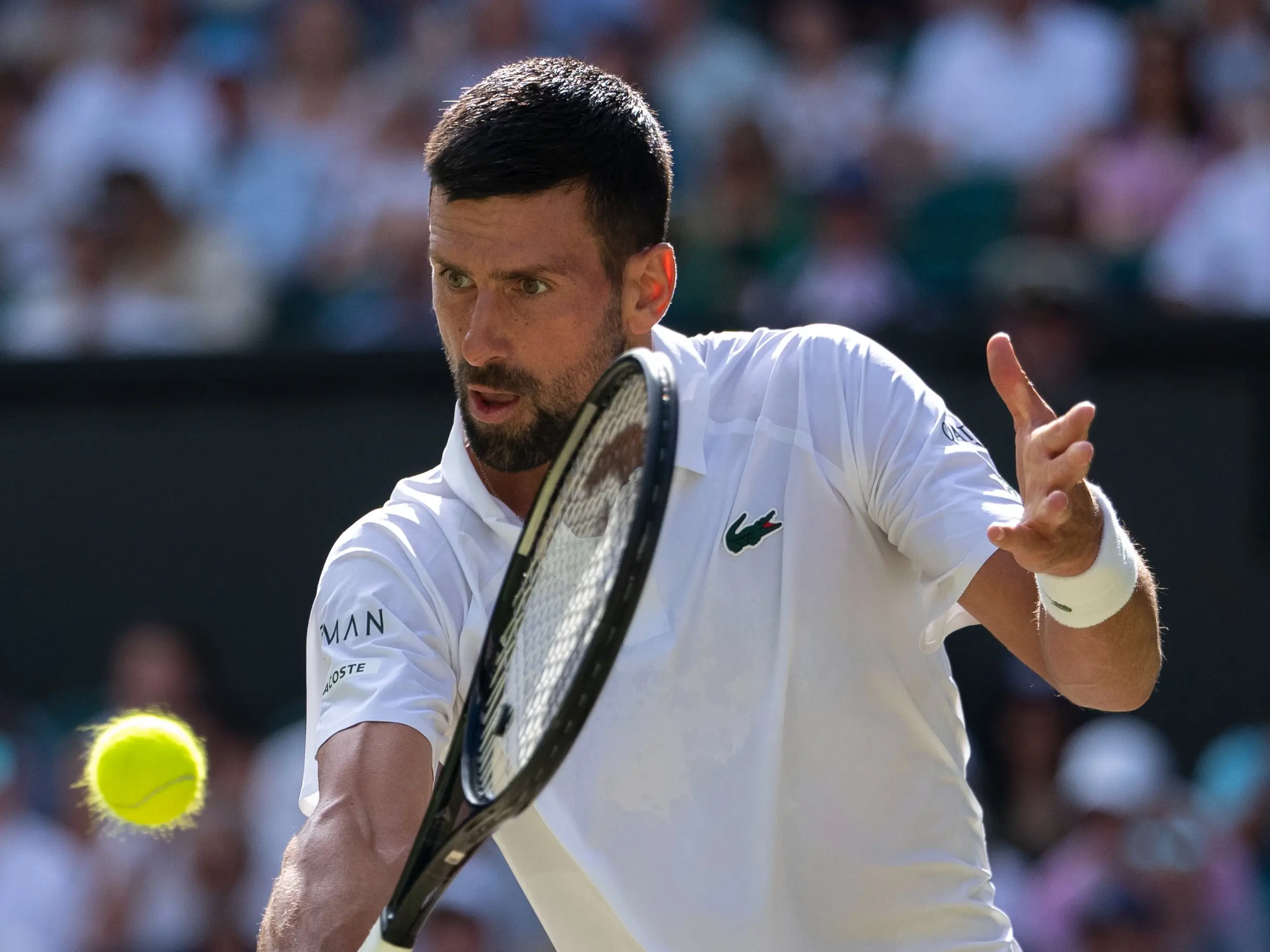 HIGHLIGHTS | Wimbledon 2025: Djokovic beats Cobolli, sets up semis clash with Sinner HIGHLIGHTS | Wimbledon 2025: Djokovic beats Cobolli, sets up semis clash with Sinner