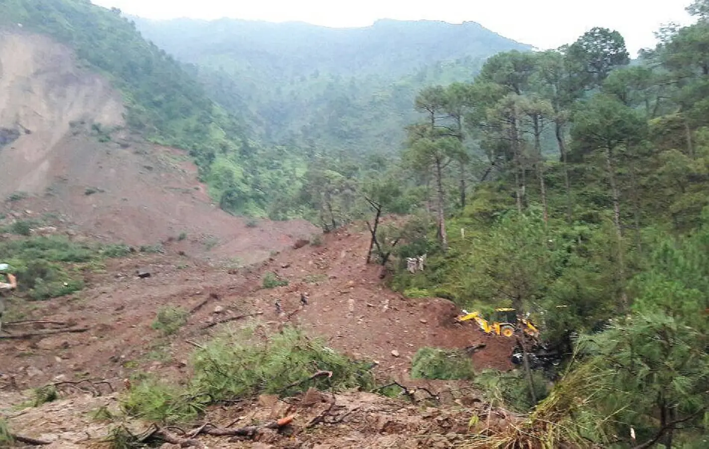 Dog turns saviour, wakes up village in Himachal, saves 67 lives before landslide flattens homes