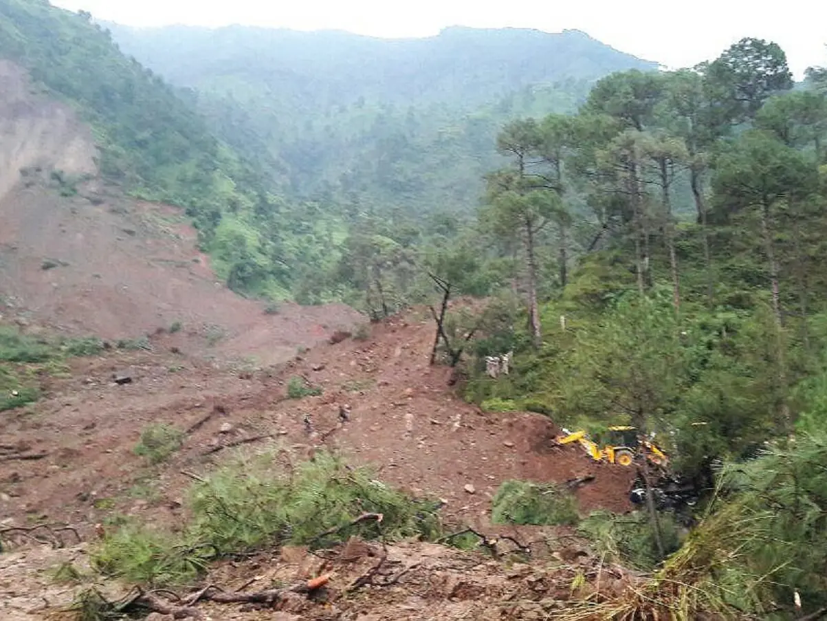 Dog turns saviour, wakes up village in Himachal, saves 67 lives before landslide flattens homes Dog turns saviour, wakes up village in Himachal, saves 67 lives before landslide flattens homes