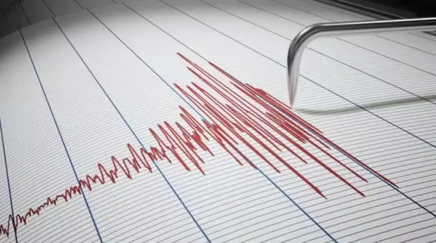 'Longest tremor': Delhi earthquake triggers panic; Metro service halted for several minutes