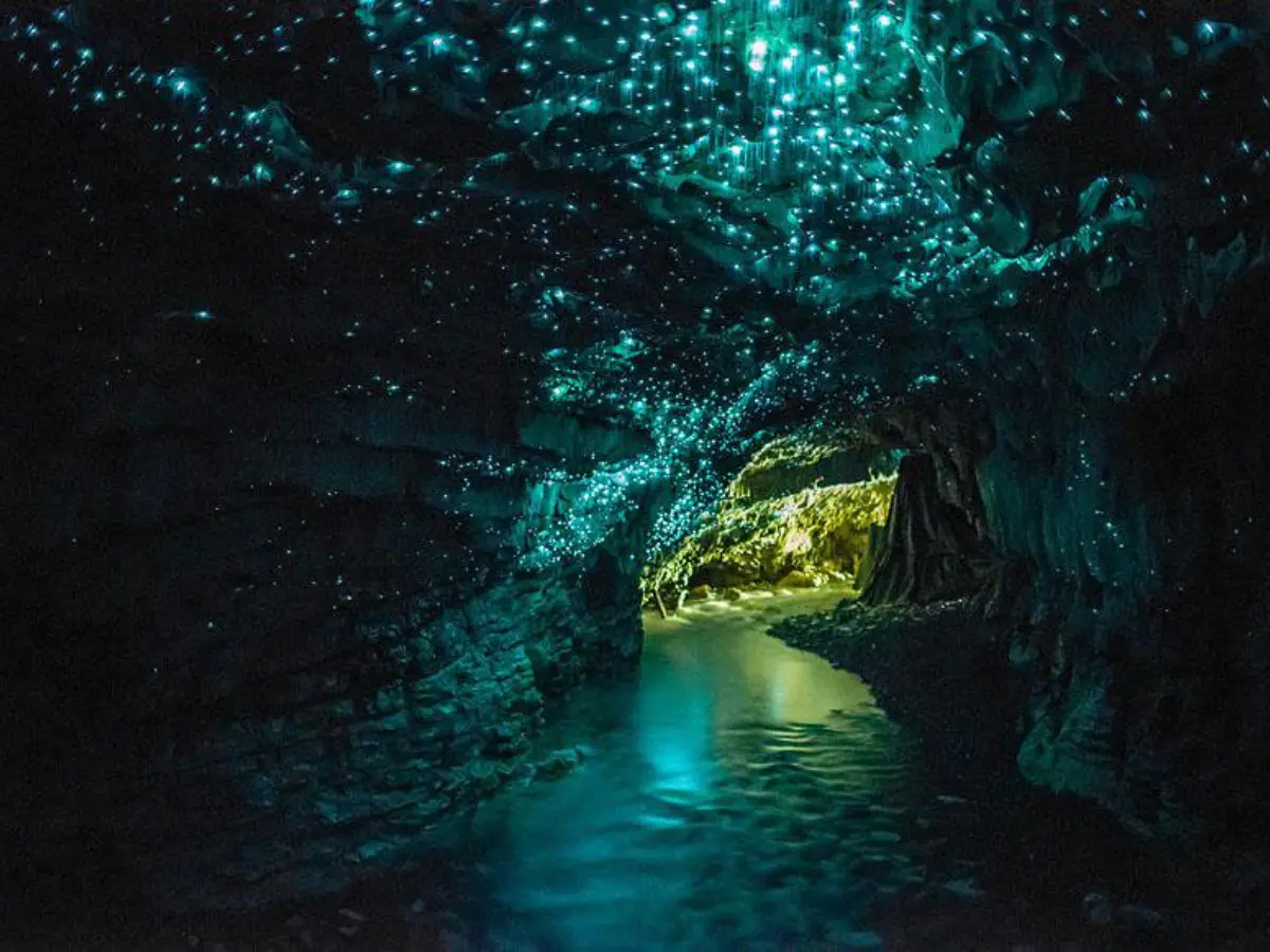 Waitomo Glowworm Caves, New Zealand