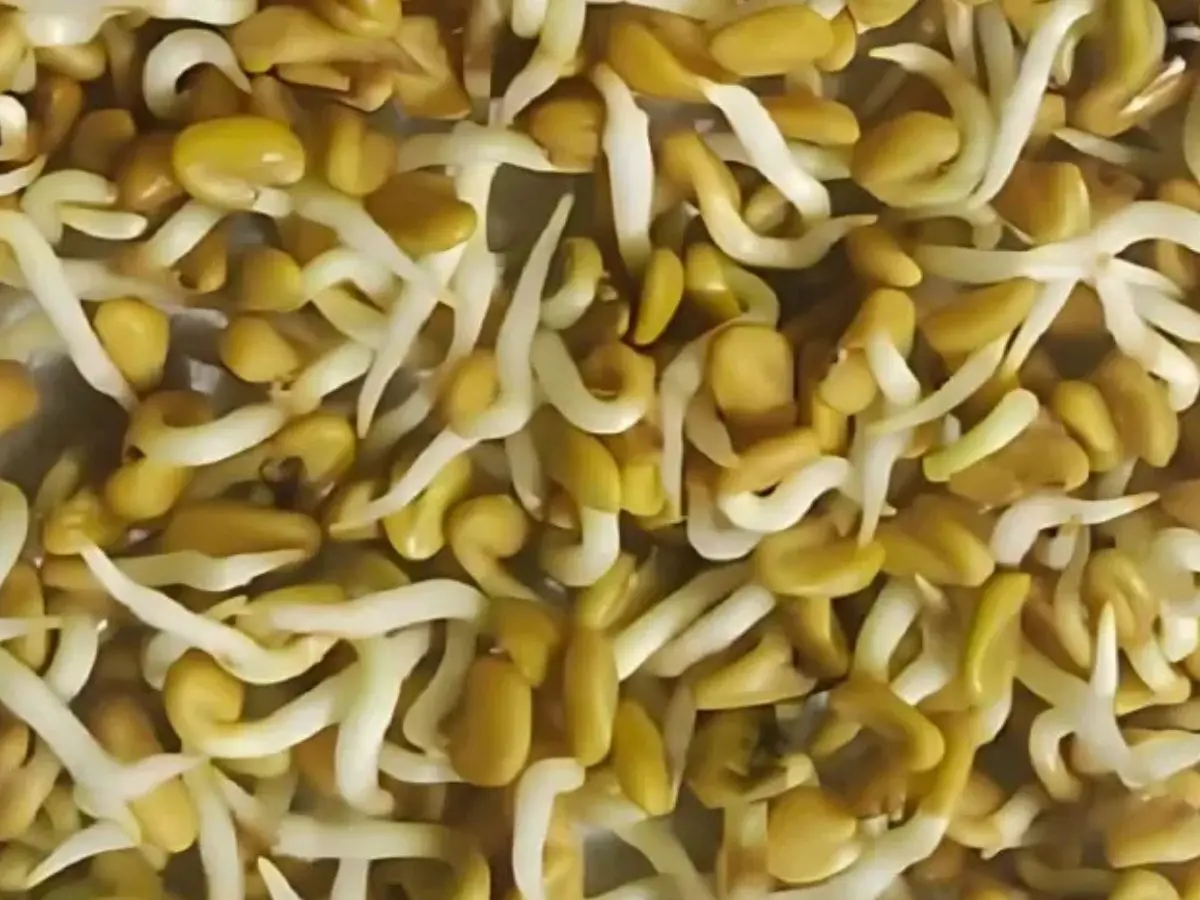 Space Farming (Moong & Methi)