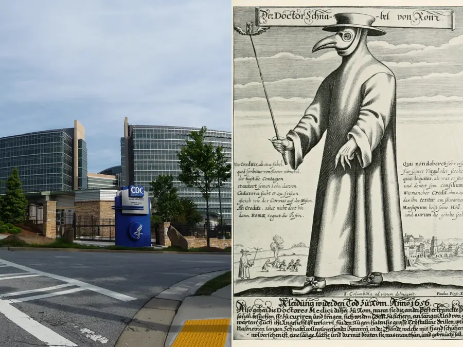 Plague returns to US, patient dies of 'Black Death' in Arizona  — Is the medieval disease spreading across America?