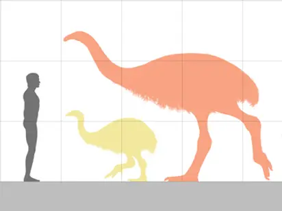 Scientists who 'de-extincted' dire wolf want to bring back THIS 12ft tall bird
