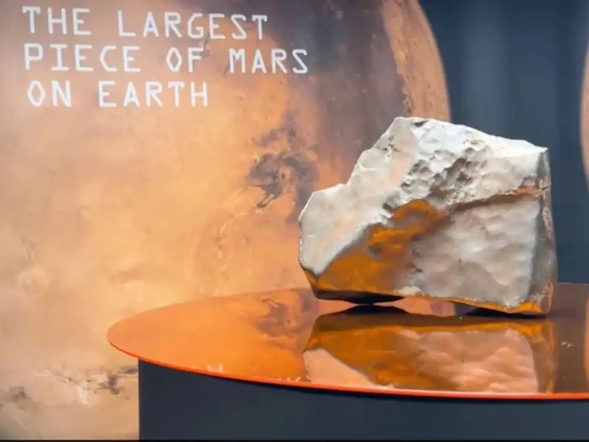 Martian giant: Earth’s largest piece of Mars heads to auction in New York Martian giant: Earth’s largest piece of Mars heads to auction in New York