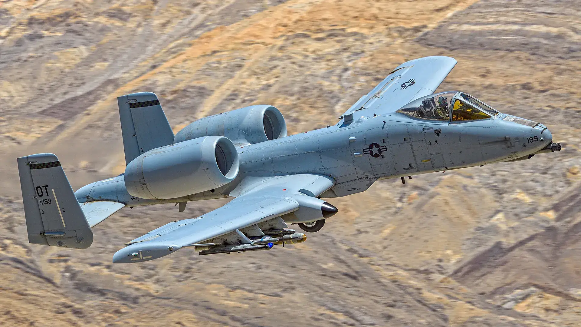 Why the Warthog Seems Invincible