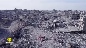 Israel-Hamas War: Gazans battle death for Food and Water | WION Wideangle
