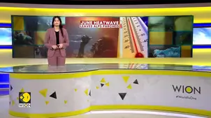 Heatwave Melts French Alps Glacier | Alps Hit by Early Melt Crisis | WION Climate Tracker 