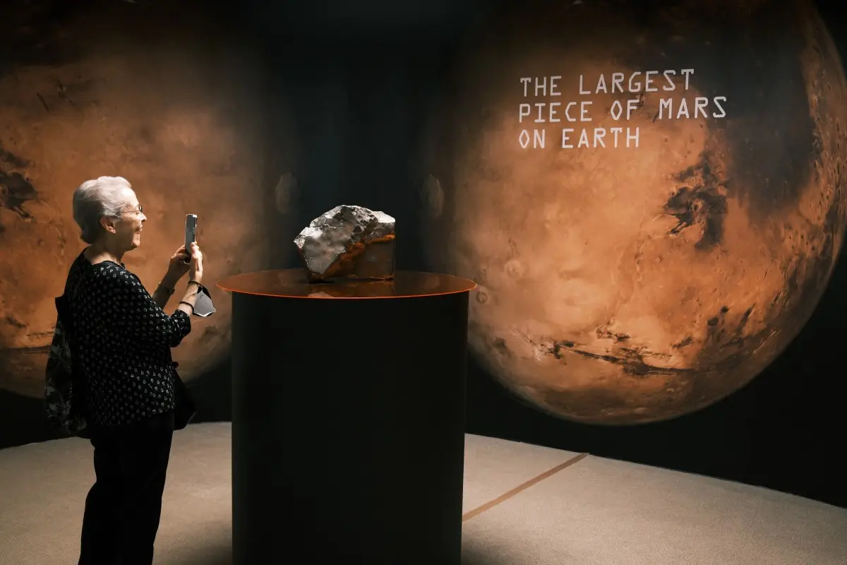 This rock was sold for $4.3 million at a New York auction. Why was it so expensive?
