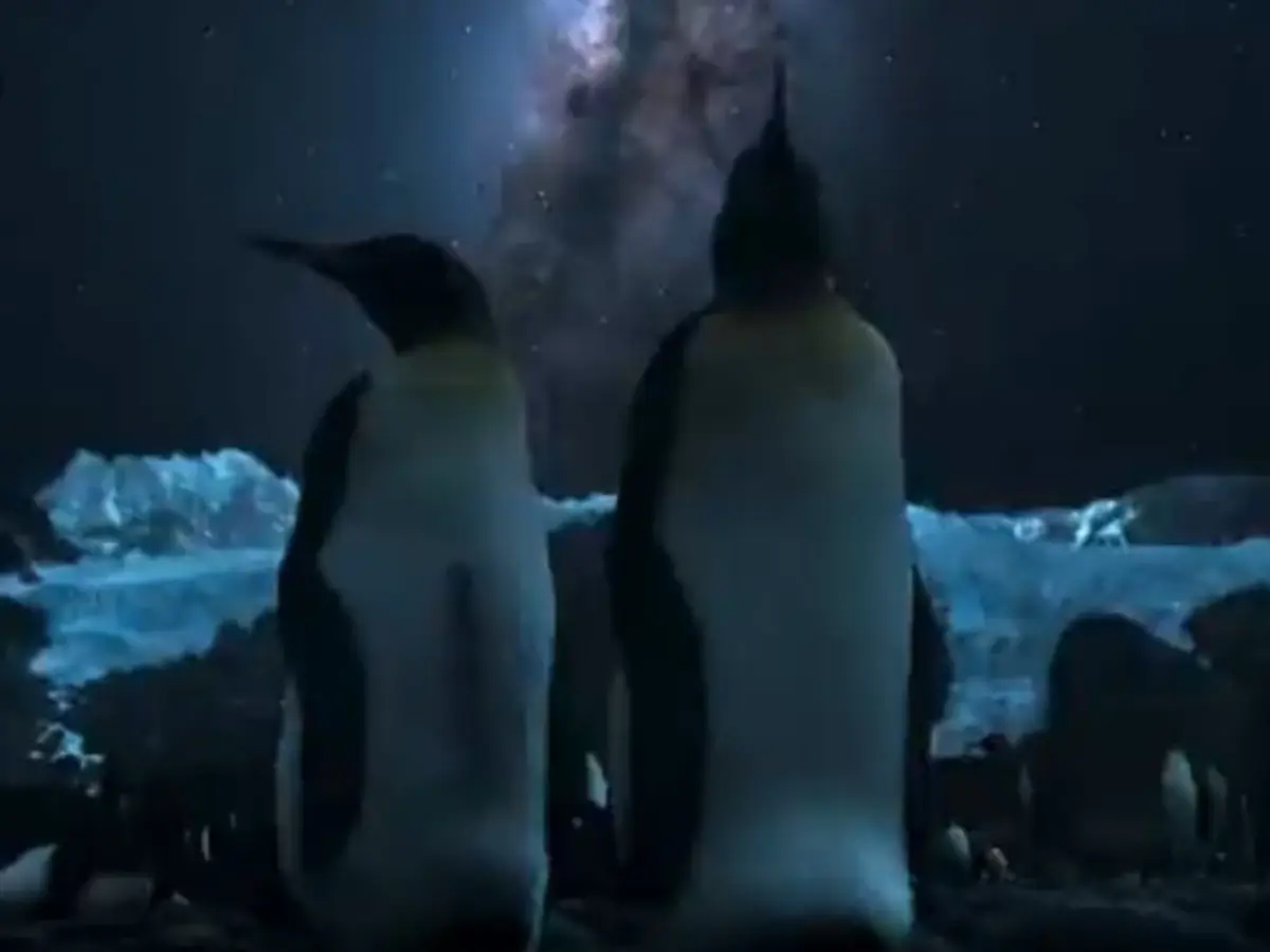 Our Universe (2022)