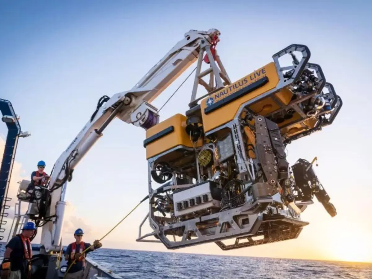 Discovery in the deep
