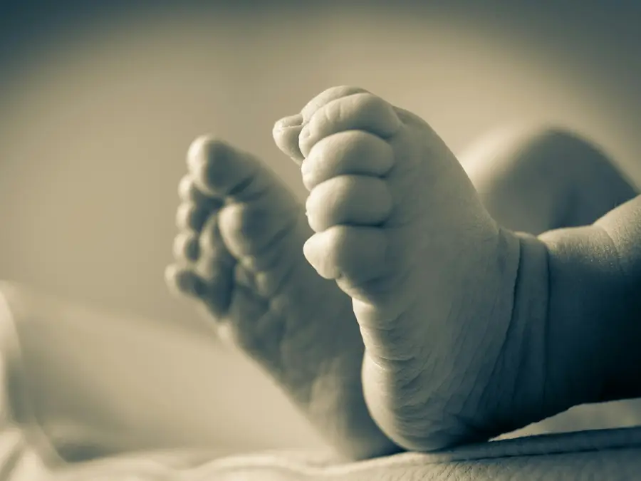 Baby mafia! Indonesian baby‑trafficking ring 'booked' infants before they were born, sold for millions of rupiah; 6 infants rescued