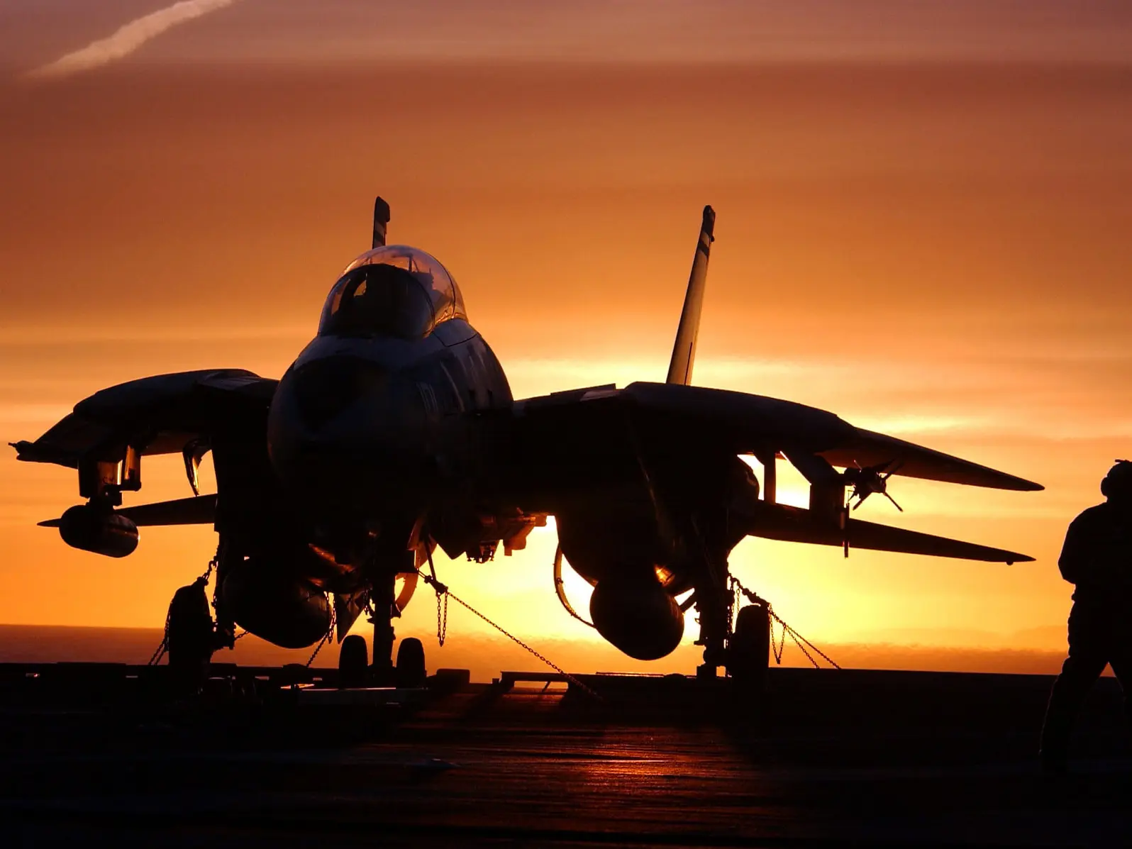 This fighter jet can fold its wings in mid-air flight and was used in Tom Cruise' 'Top Gun'