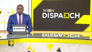 South Africa Pushes to Increase Trade Exports to China | WION Dispatch 