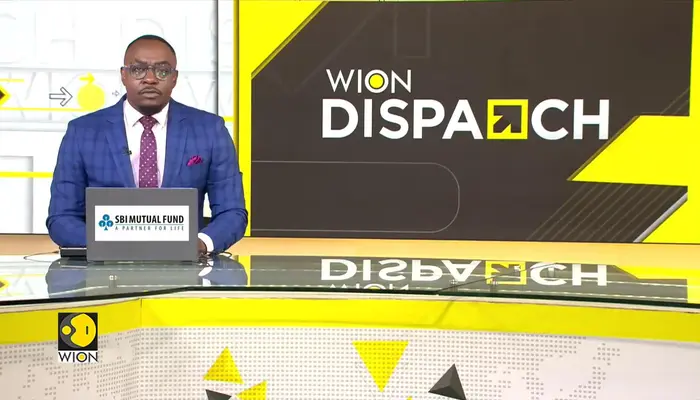 South Africa Pushes to Increase Trade Exports to China | WION Dispatch 