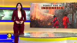 Indonesian authorities say haze from Sumatra forest fires detected in Malaysia