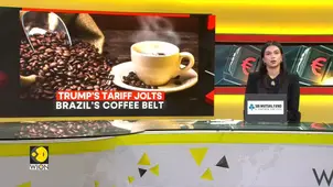 Trump tariffs: Tariff threatens Brazil’s lead as top coffee supplier