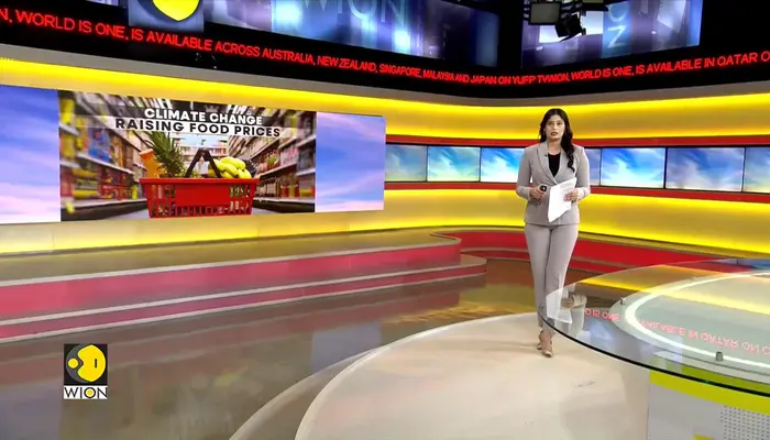 Study says heat and drought spikes food cost