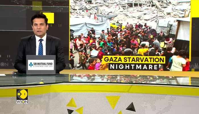Gaza: tonnes of aid stuck at border while Gazans face looming famine 
