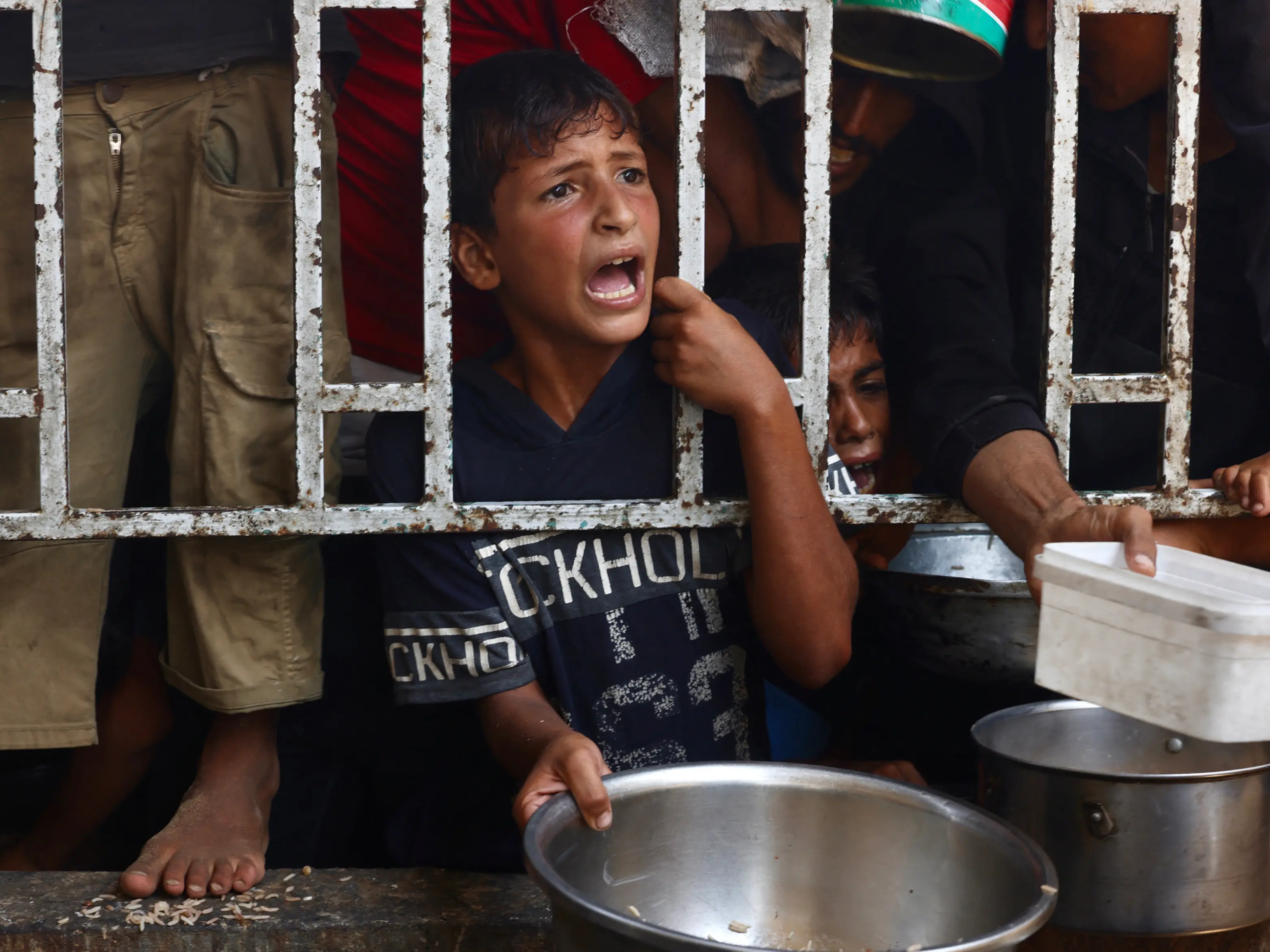 'Horror show': Gaza hospital says 21 children die of starvation in 3 days as Israeli assault continues 'Horror show': Gaza hospital says 21 children die of starvation in 3 days as Israeli assault continues