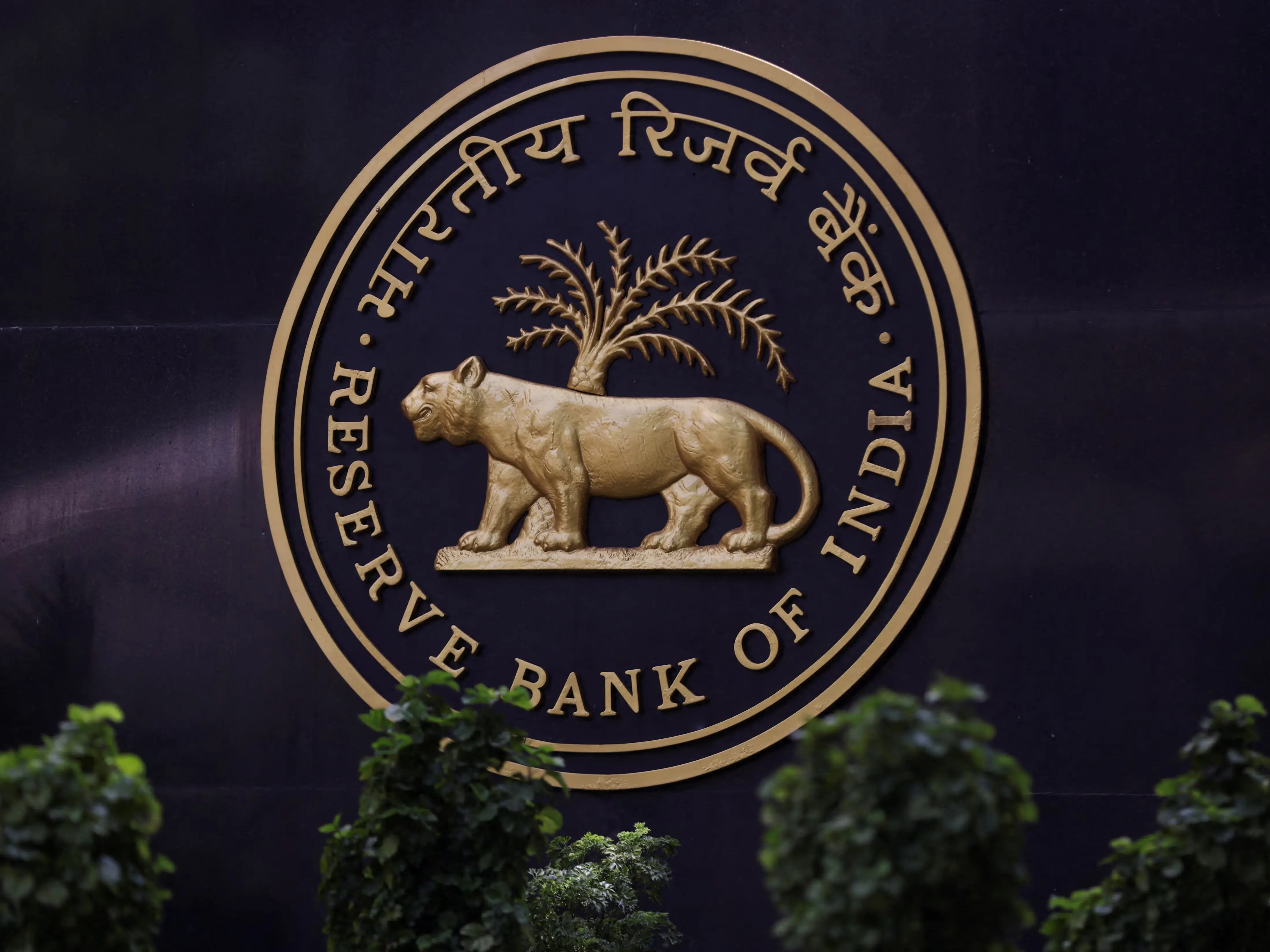 RBI steps in with cash boost as borrowing costs surge RBI steps in with cash boost as borrowing costs surge