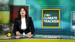 What is the climate verdict from ICJ? | WION