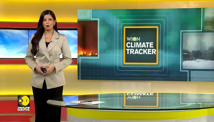 Eddie's Sweet Shop Marks A Century Of Service, Serves Up Tasty Relief From The Heat