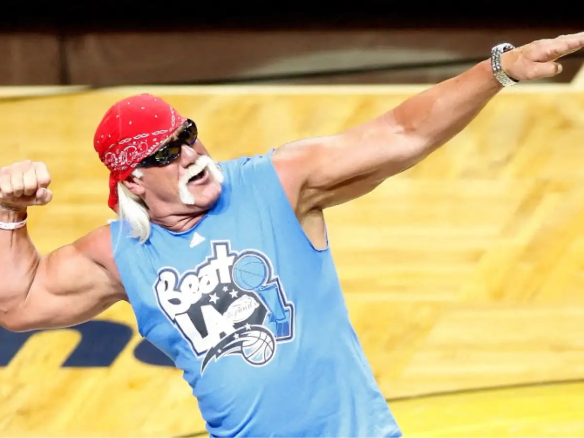 Hulk Hogan's sex tape with his friend Bubba's wife bankrupted a media company