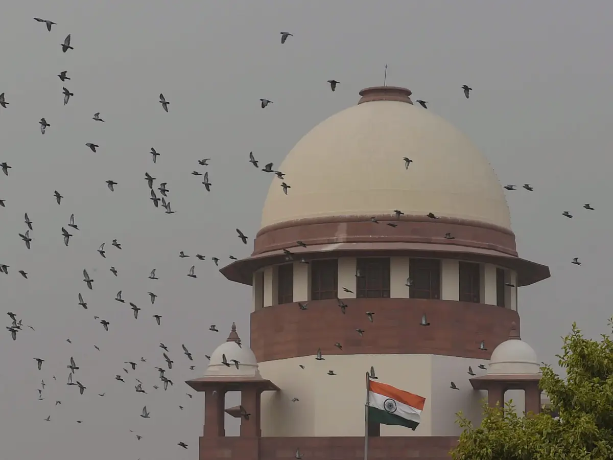 Why a 53-year-old rapist will be sentenced as a juvenile in India | WION Explains