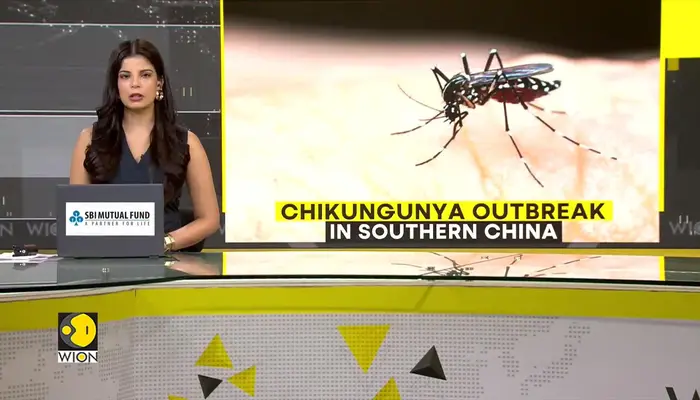 Southern China hit by outbreak of mosquito-borne infection chikungunya