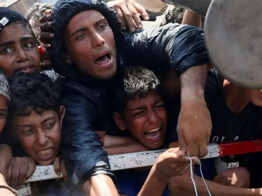 'Press shield for sale': Photojournalist puts his equipment on sale to feed his family as Gaza suffers mass starvation