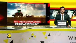 US Farms Struggle Amid Immigration Crackdown