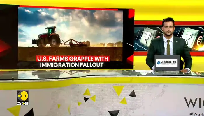 US Farms Struggle Amid Immigration Crackdown