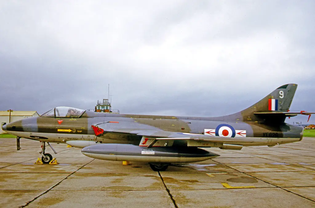 The Iconic Hunters and Gnats