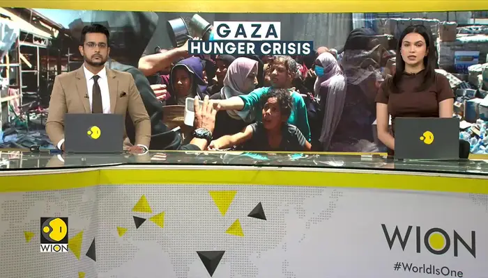 Israel-Gaza war: Pleas at UN for two-state solution for Israel, Palestine 