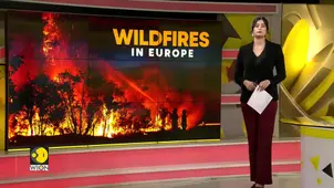 Portugal Braces For More Wildfires