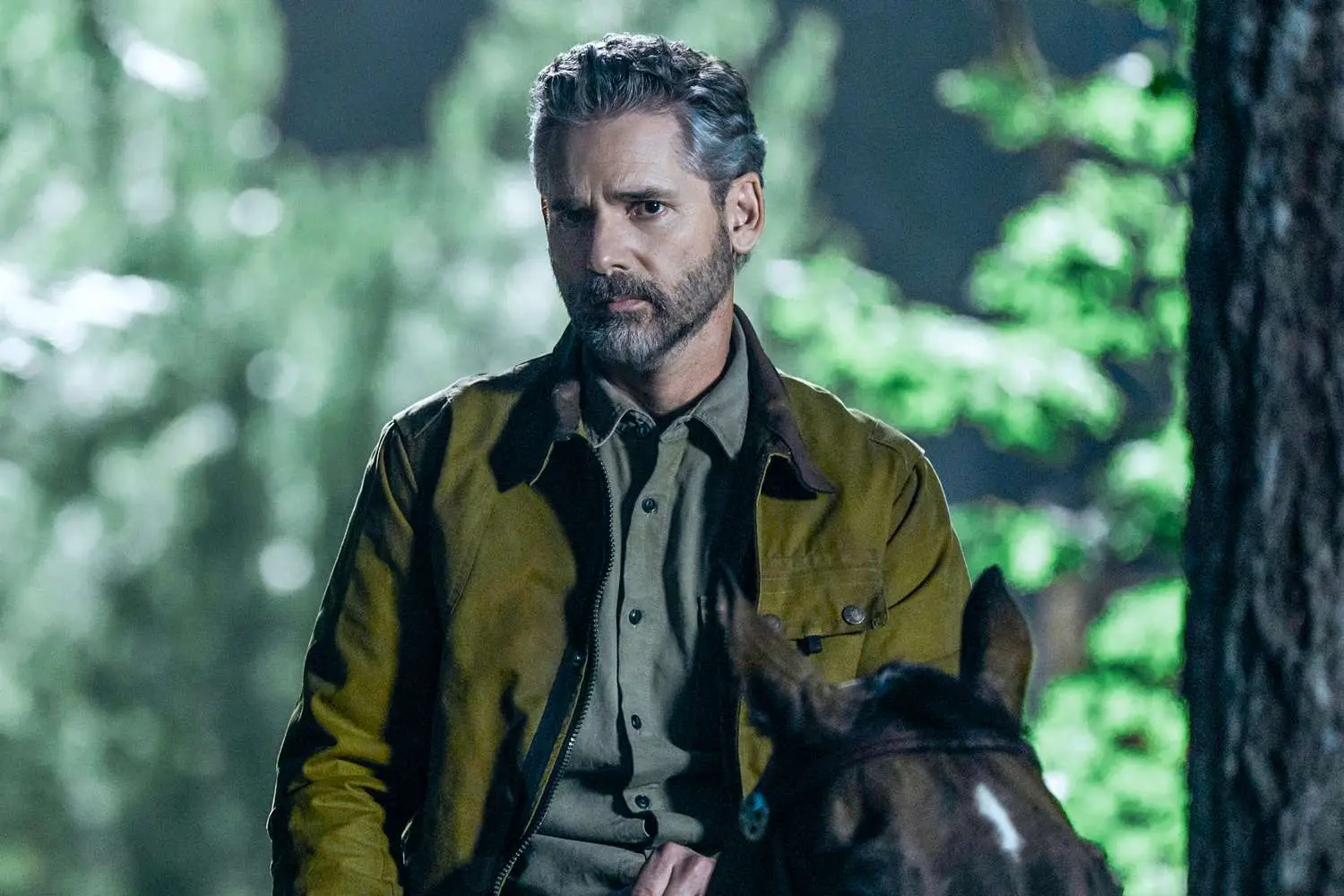 Netflix confirms Untamed season 2: Eric Bana will return to tackle a new mystery