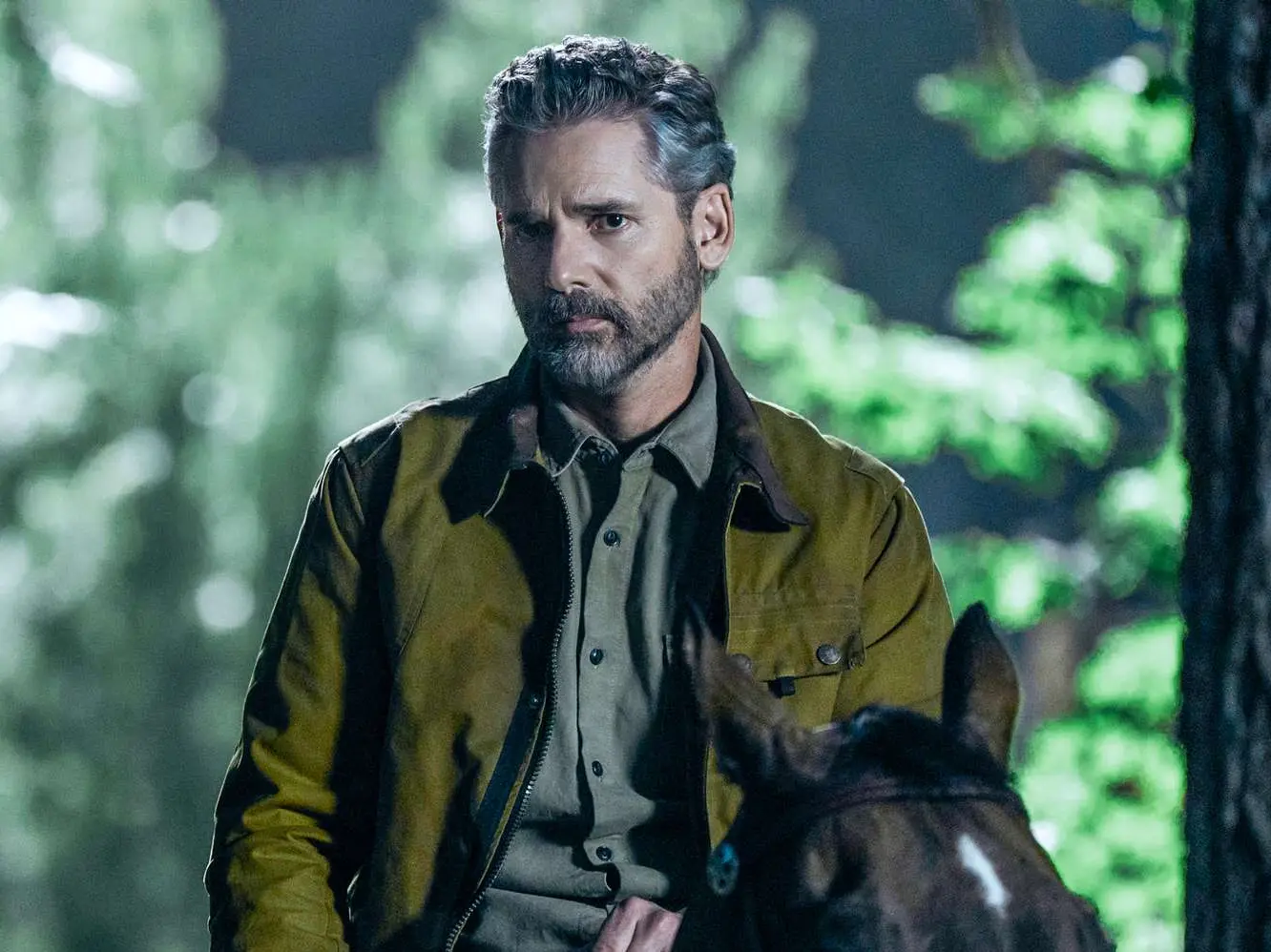 Netflix confirms Untamed season 2: Eric Bana will return to tackle a new mystery Netflix confirms Untamed season 2: Eric Bana will return to tackle a new mystery