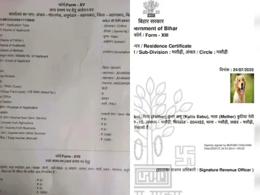After 'Dog babu', income certificate for applicant 'Samsung', mother 'Smartphoan' and father 'Iphoan' revealed in Bihar