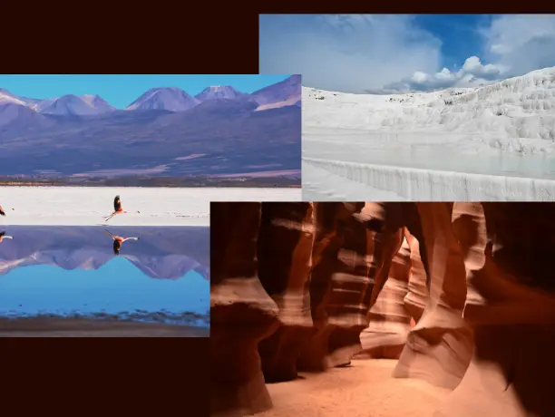 6 unusual places in the world that looks like are from different plant