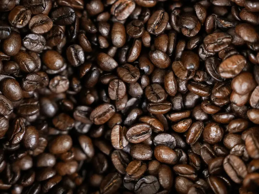 China opens door to Brazilian coffee as US tariffs loom