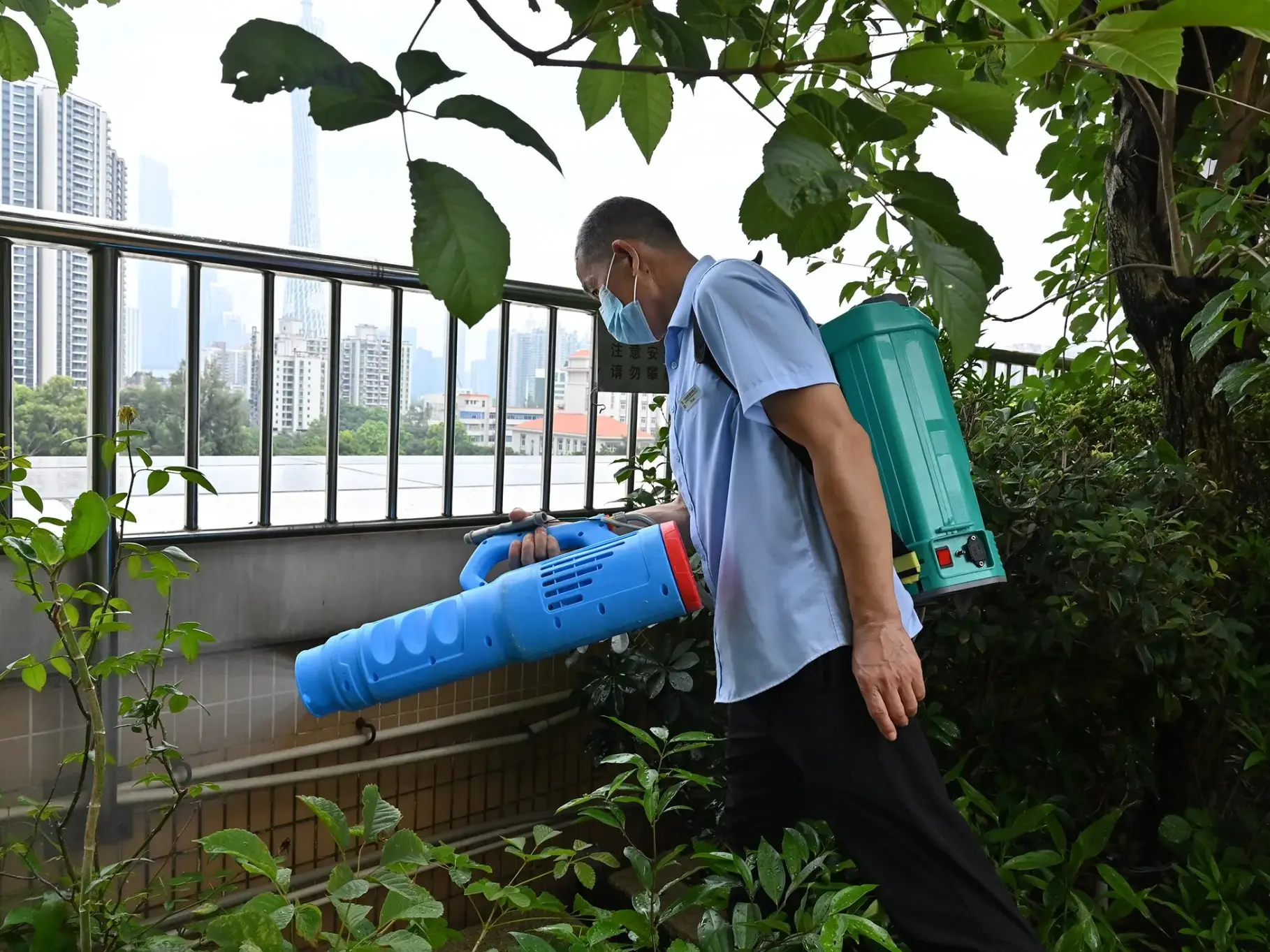 Chikungunya outbreak: COVID-19-style curbs return after over 7,000 cases reported in China’s province — Details inside Chikungunya outbreak: COVID-19-style curbs return after over 7,000 cases reported in China’s province — Details inside