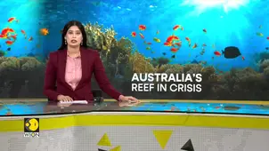 Australia’s reef in crisis, climate blamed