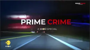 Global Cat Torture Rings: A Thriving Dark Web Industry | WION Prime Crime 