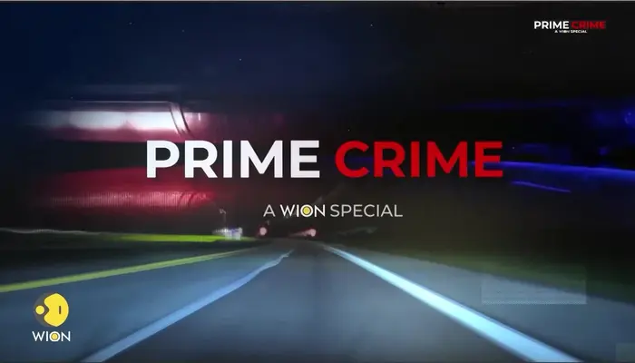 Global Cat Torture Rings: A Thriving Dark Web Industry | WION Prime Crime 