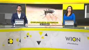 China hit by major Chikungunya outbreak, reports over 7,000 cases