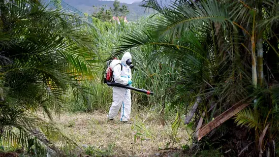 'Strictly implement quarantine measures': Chinese authorities caution people as chikungunya cases cross 7,000 mark